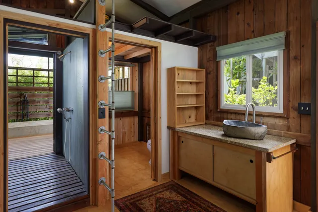 a living room with a window and a potted plant