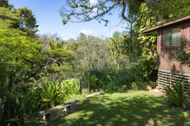 view of a yard with plants