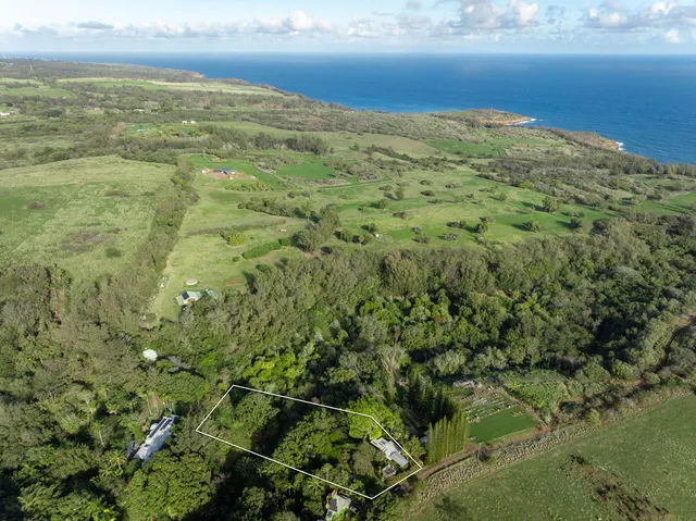a backyard of a house with lots of green space and trees