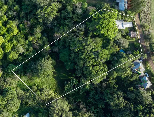 a view of a lake with a tree