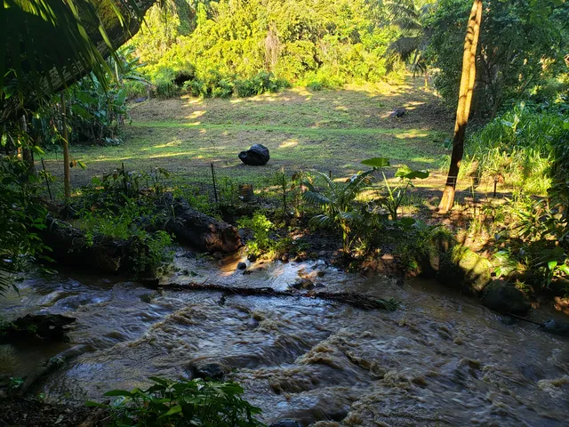 a view of a lake with green field
