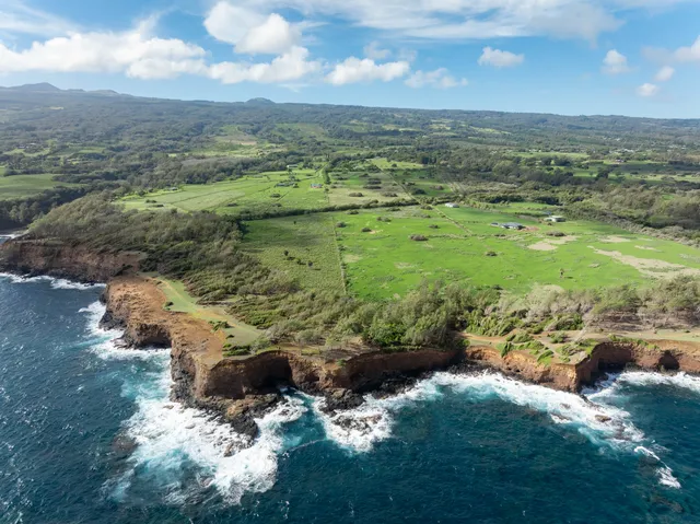 a view of a lake from a yard