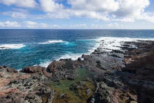 a view of a dry yard with wooden fence