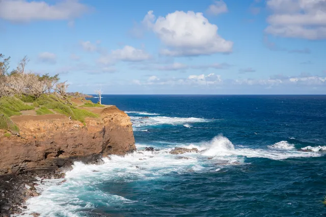 a view of house with backyard outdoor seating and trees