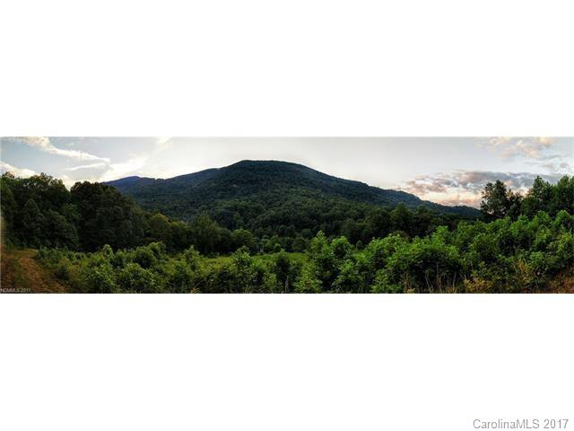 1454 Newfound Road Leicester, NC 28748 - Photo 3 of 7