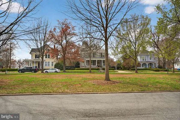 a view of a yard with large tree