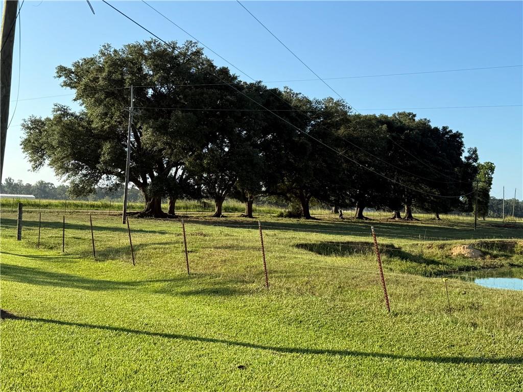 0 Sharkey Road Amite, LA 70422 - Photo 1 of 36