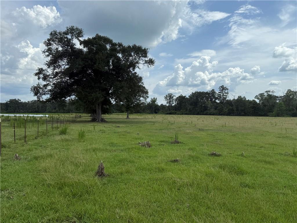 0 Sharkey Road Amite, LA 70422 - Photo 11 of 36