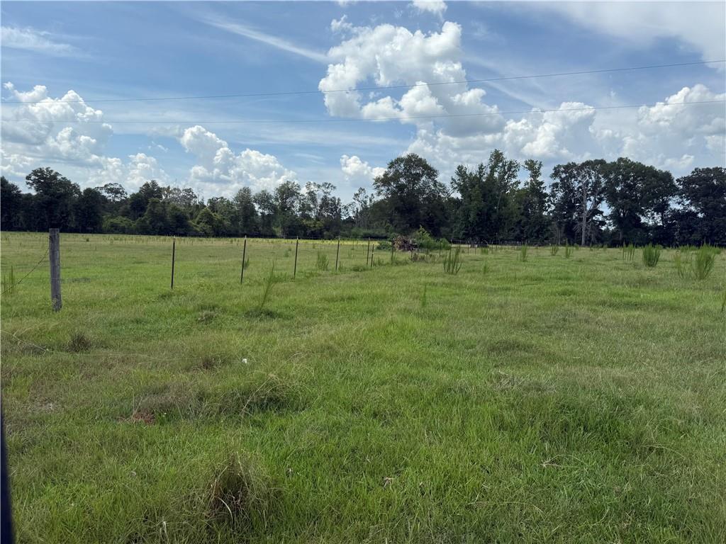 0 Sharkey Road Amite, LA 70422 - Photo 13 of 36