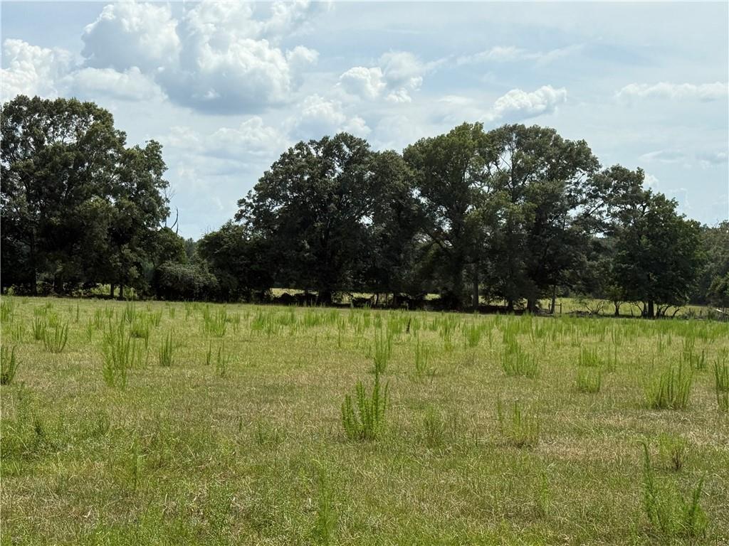 0 Sharkey Road Amite, LA 70422 - Photo 14 of 36