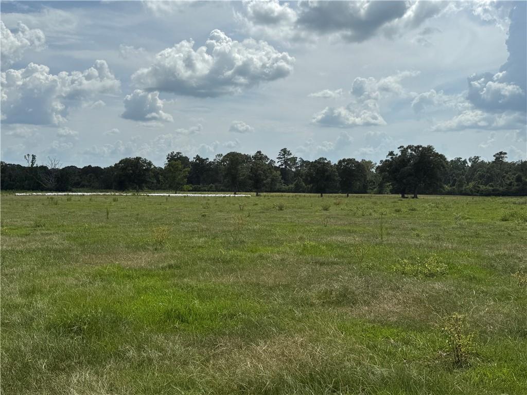 0 Sharkey Road Amite, LA 70422 - Photo 15 of 36