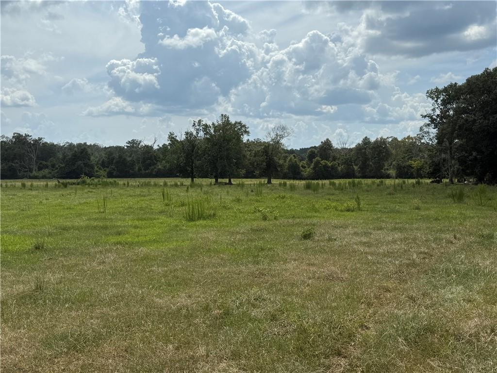 0 Sharkey Road Amite, LA 70422 - Photo 16 of 36