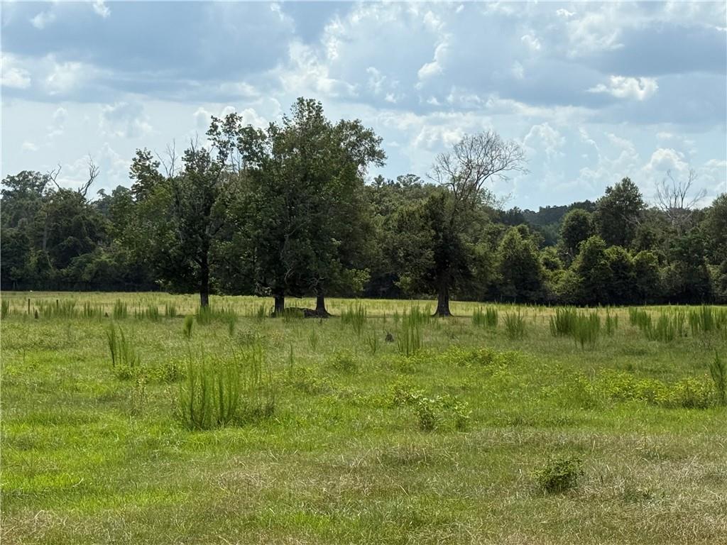 0 Sharkey Road Amite, LA 70422 - Photo 17 of 36