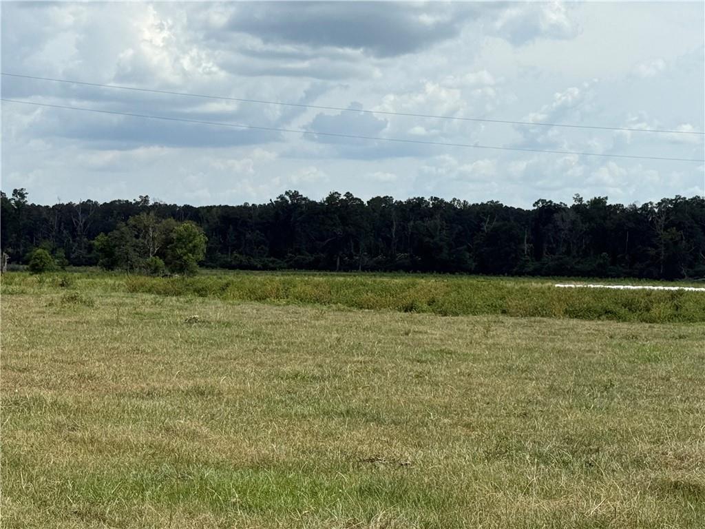 0 Sharkey Road Amite, LA 70422 - Photo 18 of 36