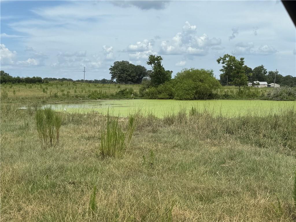 0 Sharkey Road Amite, LA 70422 - Photo 19 of 36