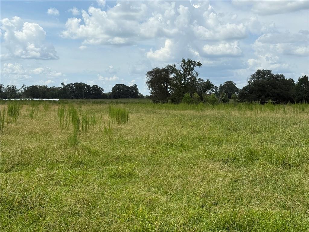 0 Sharkey Road Amite, LA 70422 - Photo 20 of 36