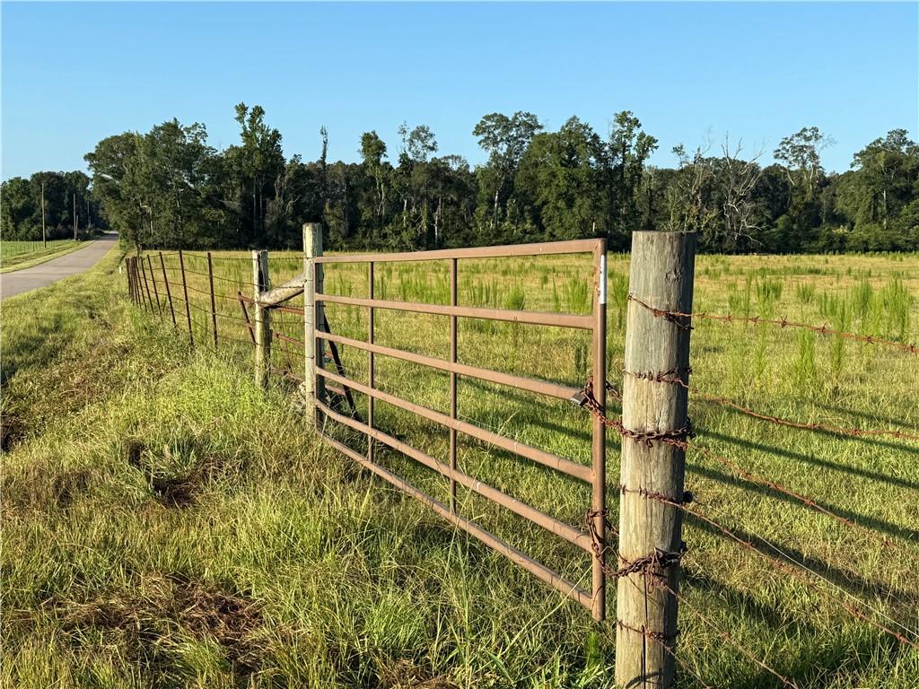 0 Sharkey Road Amite, LA 70422 - Photo 22 of 36