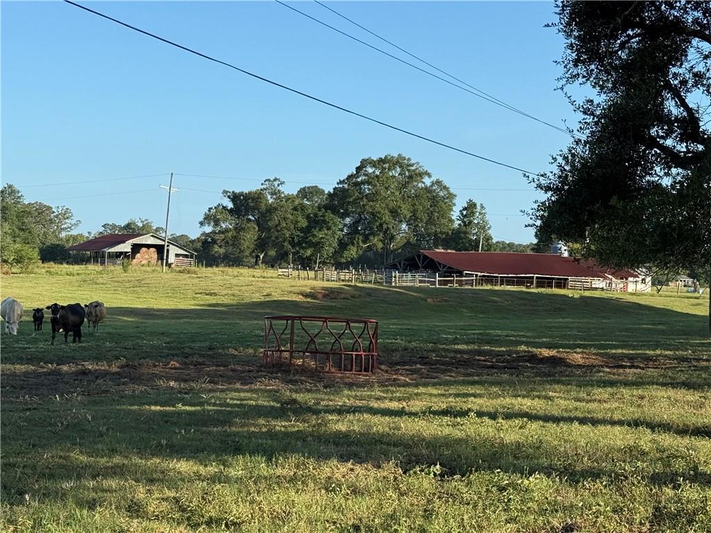0 Sharkey Road Amite, LA 70422 - Photo 24 of 36