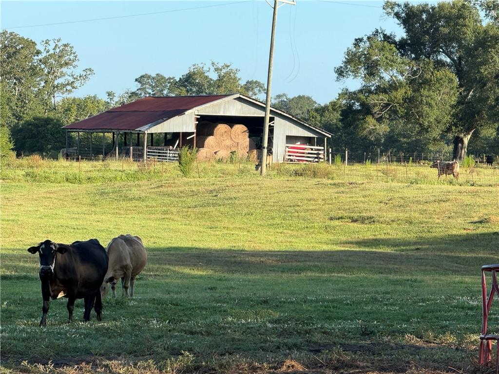 0 Sharkey Road Amite, LA 70422 - Photo 25 of 36