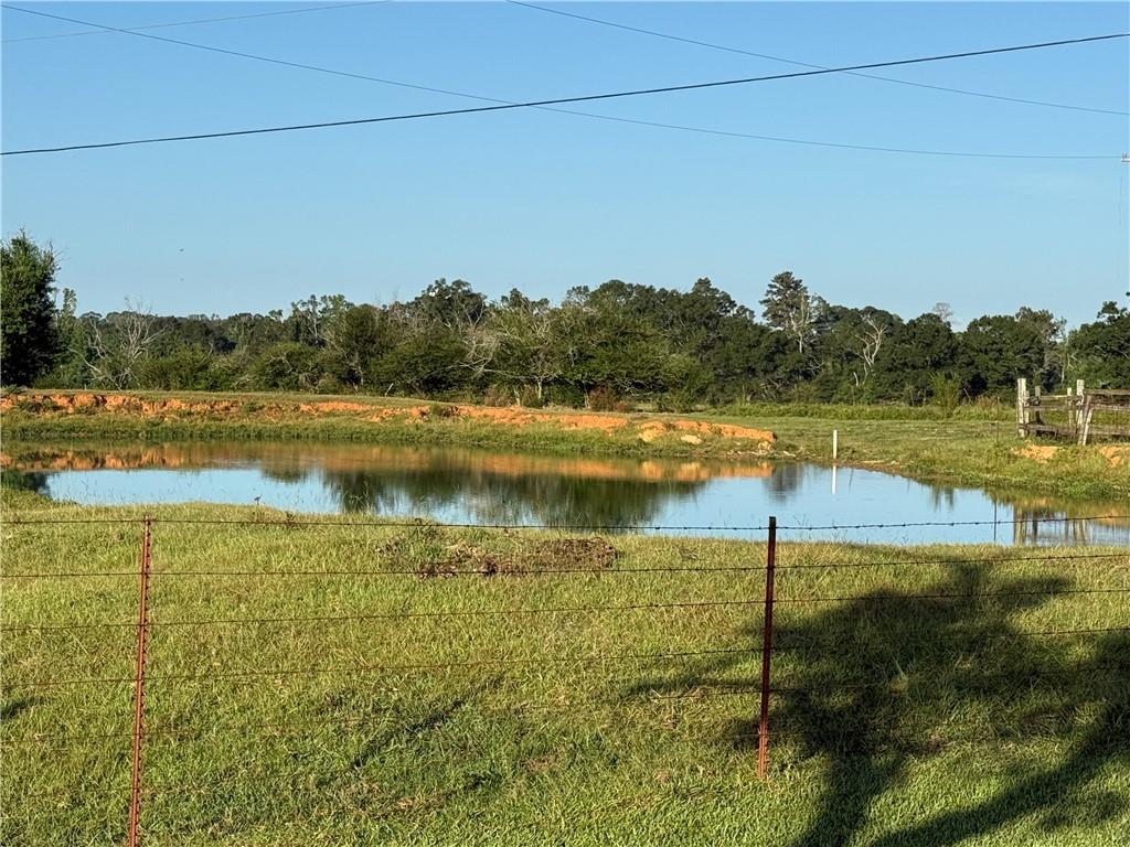 0 Sharkey Road Amite, LA 70422 - Photo 26 of 36