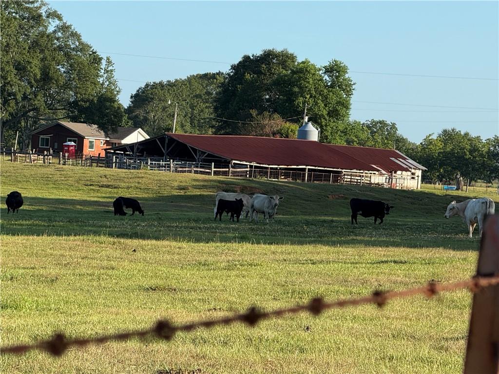 0 Sharkey Road Amite, LA 70422 - Photo 27 of 36