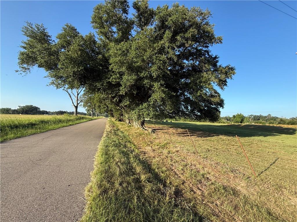 0 Sharkey Road Amite, LA 70422 - Photo 3 of 36