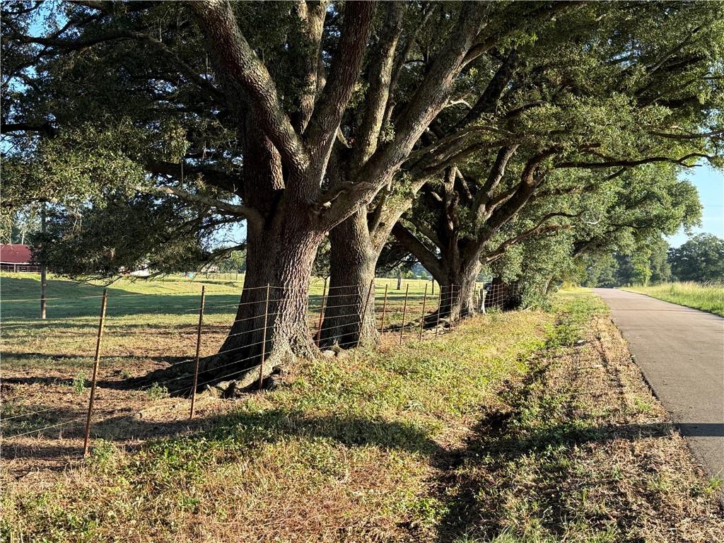 0 Sharkey Road Amite, LA 70422 - Photo 4 of 36