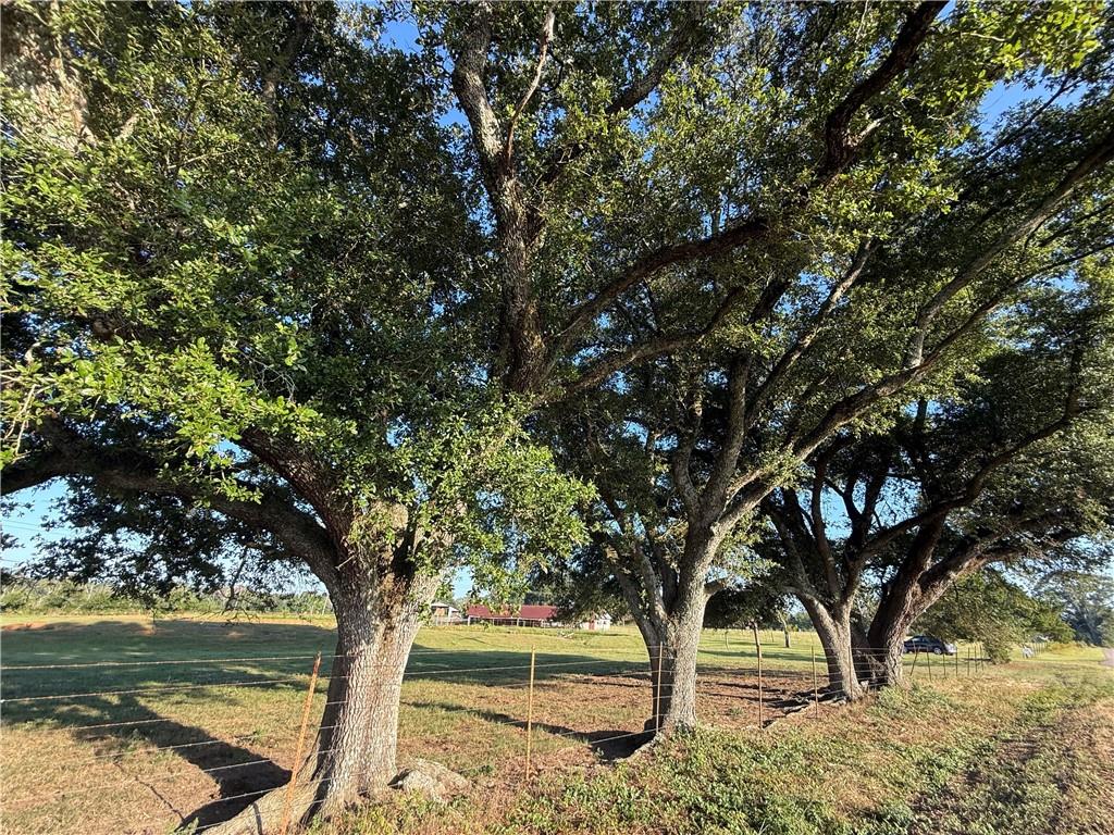 0 Sharkey Road Amite, LA 70422 - Photo 5 of 36