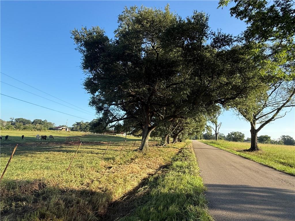 0 Sharkey Road Amite, LA 70422 - Photo 6 of 36