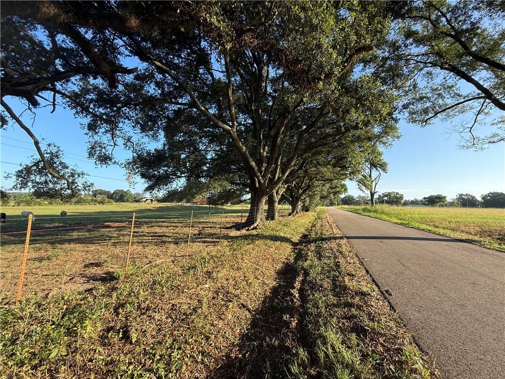 0 Sharkey Road Amite, LA 70422 - Photo 7 of 36