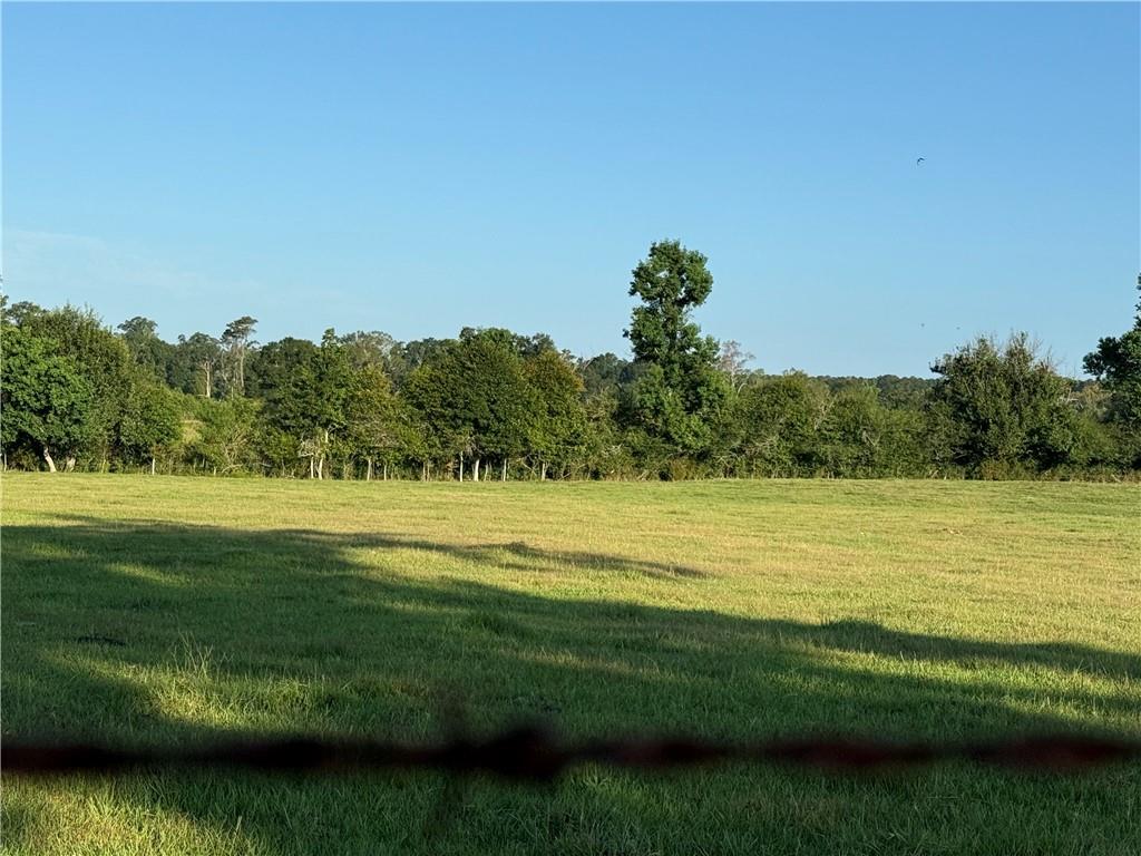 0 Sharkey Road Amite, LA 70422 - Photo 9 of 36
