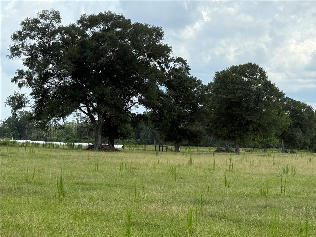 0 Sharkey Road Amite, LA 70422 - Photo 10 of 36