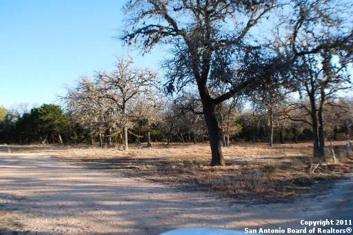 $500 | 309 Pine Tree Road, Medina, TX 78055