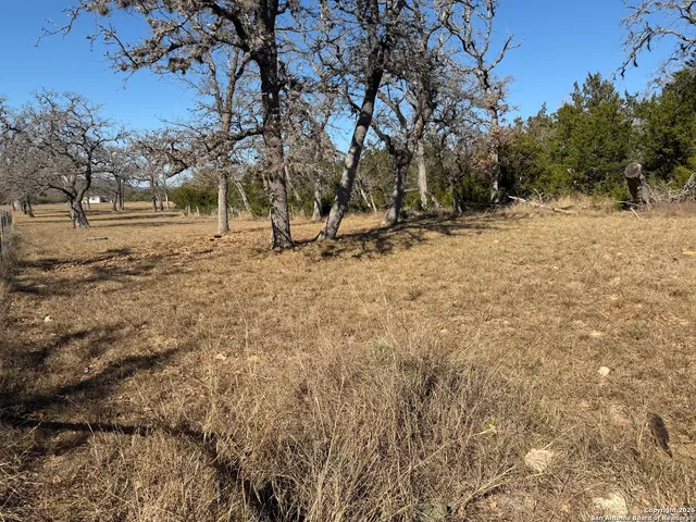 $500 | 309 Pine Tree Road, Medina, TX 78055