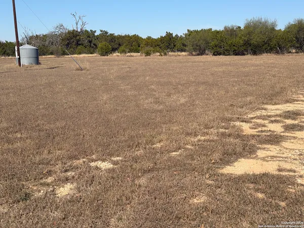 a view of a field with a tree in the background