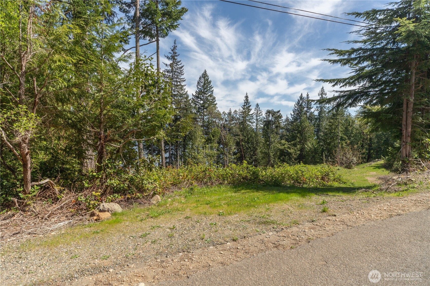 155 Tog Road Brinnon, WA 98320 - Photo 11 of 15