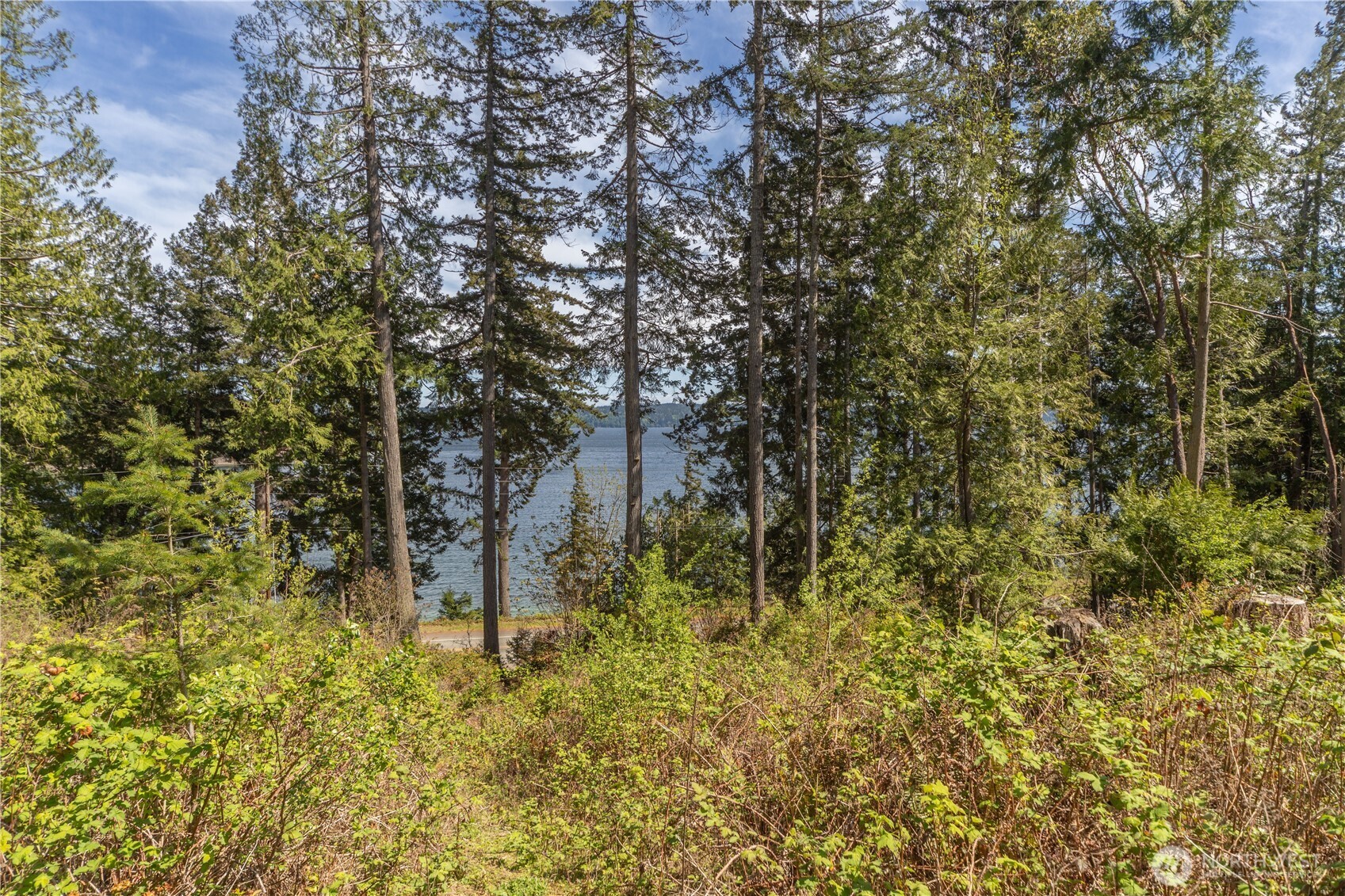 155 Tog Road Brinnon, WA 98320 - Photo 5 of 15