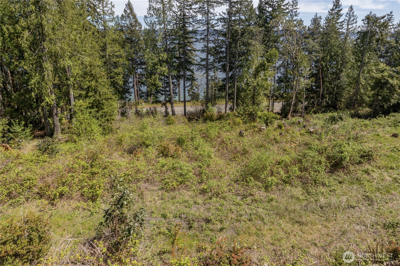 155 Tog Road Brinnon, WA 98320 - Photo 6 of 15