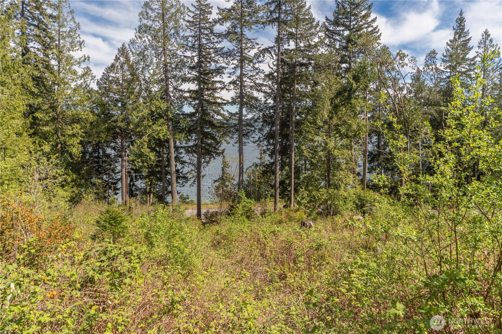 155 Tog Road Brinnon, WA 98320 - Photo 7 of 15