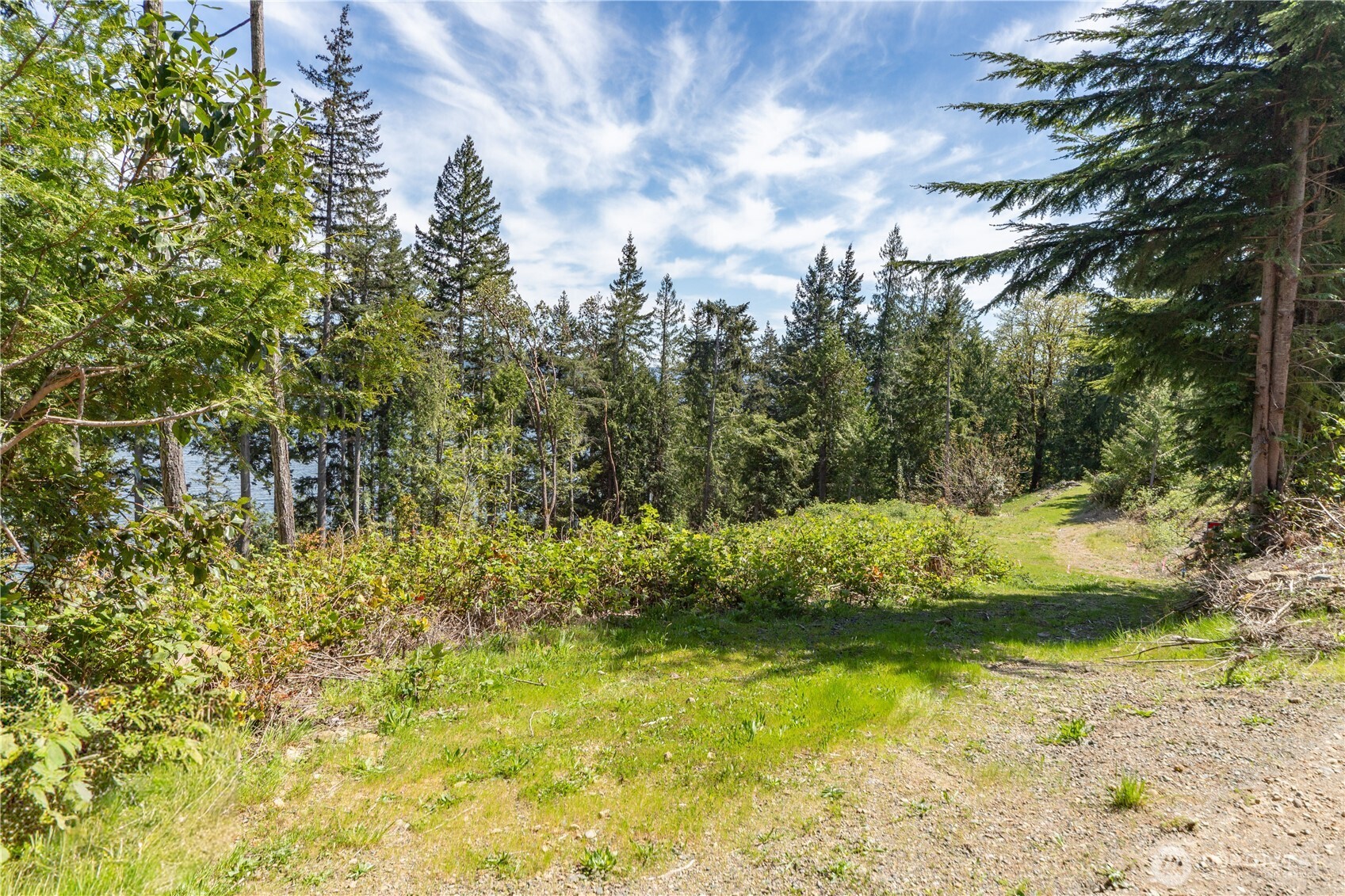 155 Tog Road Brinnon, WA 98320 - Photo 8 of 15