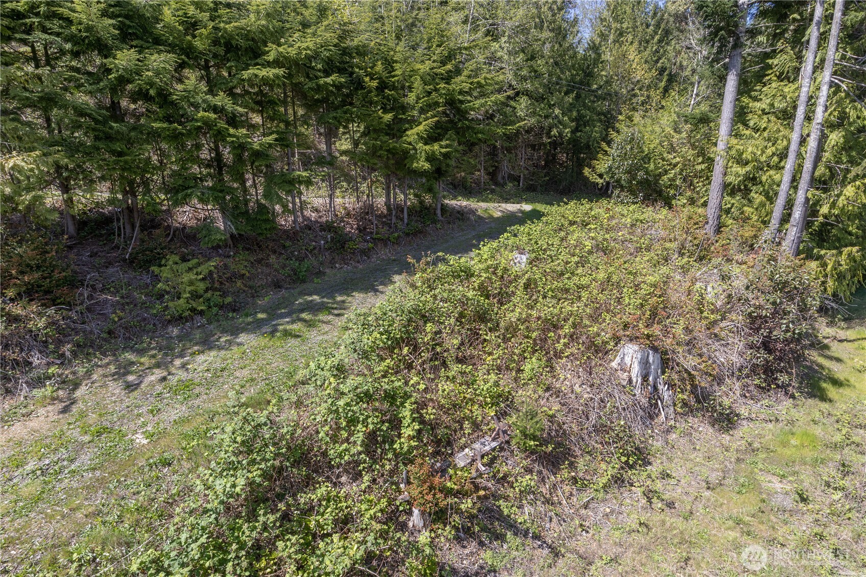 155 Tog Road Brinnon, WA 98320 - Photo 9 of 15