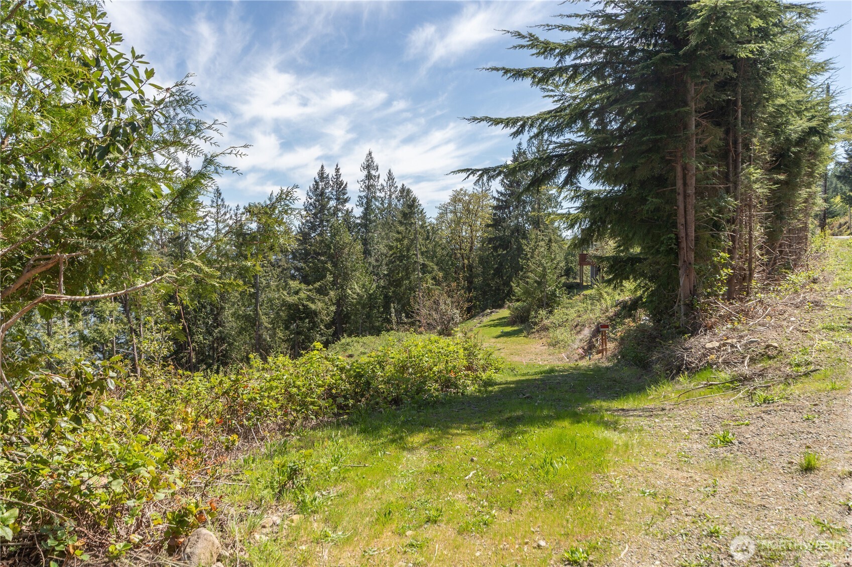 155 Tog Road Brinnon, WA 98320 - Photo 10 of 15