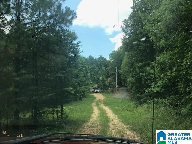 Mountain View Vance, AL 35490 - Photo 10 of 28