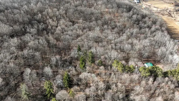 $300,000 | E17497 Gross Valley Road, Hillsboro, WI 54634