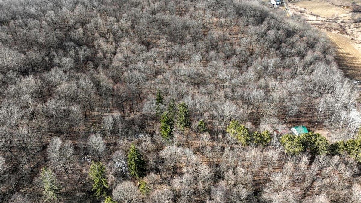 E17497 Gross Valley Road Hillsboro, WI 54634 - Photo 11 of 55