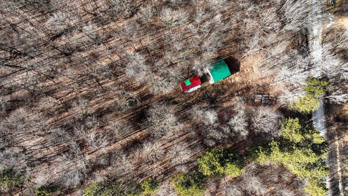 E17497 Gross Valley Road Hillsboro, WI 54634 - Photo 12 of 55