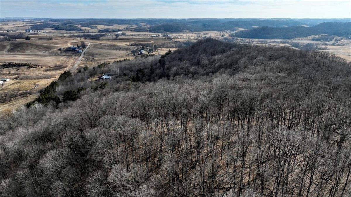 E17497 Gross Valley Road Hillsboro, WI 54634 - Photo 2 of 55