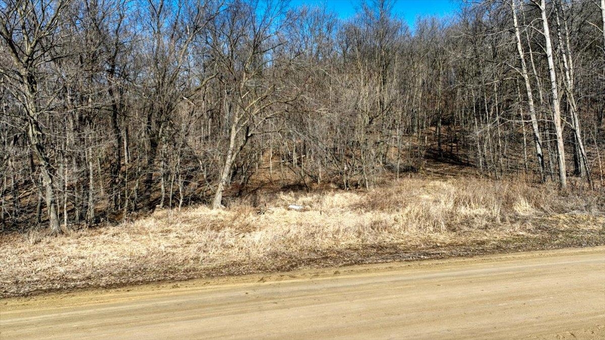 E17497 Gross Valley Road Hillsboro, WI 54634 - Photo 22 of 55