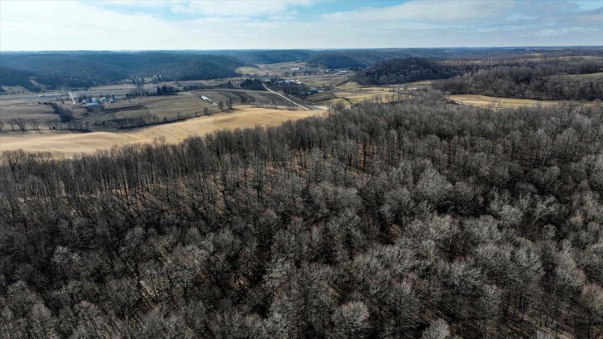 E17497 Gross Valley Road Hillsboro, WI 54634 - Photo 23 of 55