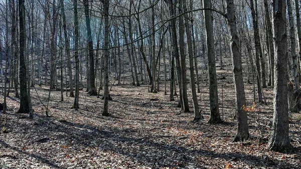 $300,000 | E17497 Gross Valley Road, Hillsboro, WI 54634